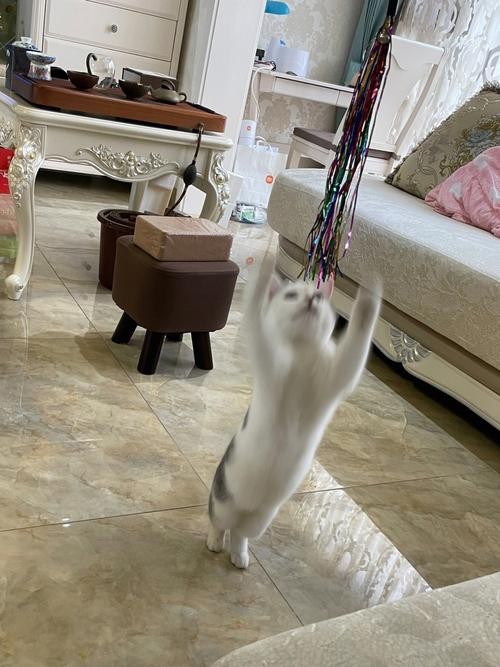 旋转跳跃我闭着眼是什么歌（完整歌词说明）