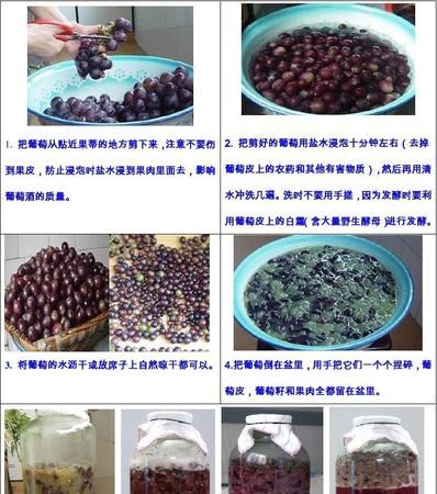 自己做的葡萄酒保质期多久,自制葡萄酒保质期多长时间