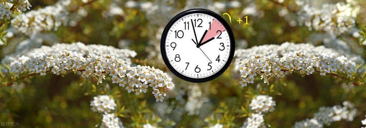 夏令时是什么(中国夏令时是几月到几月)