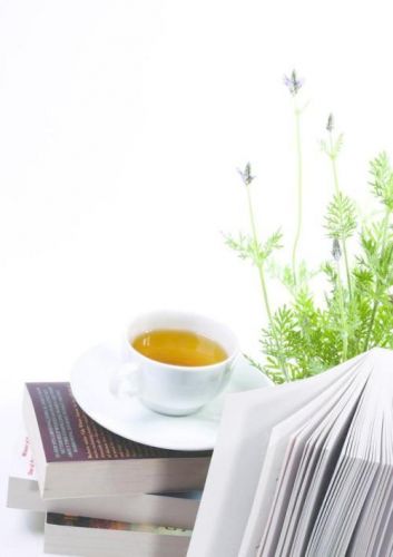 林海音的窃读记主要内容(林海音的窃读记出自于城南旧事吗)-第1张图片-