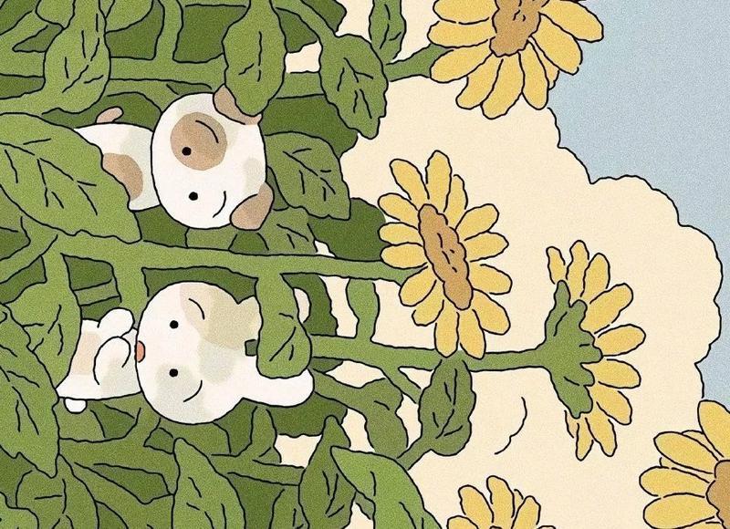 怎么挽留一个女生