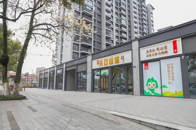 常州溧阳天目湖白茶好茶的特点（天目出好茶高山野茶香）(9)