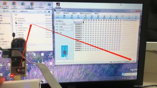 breed过去式(breed过去式怎么读)-第1张图片-
