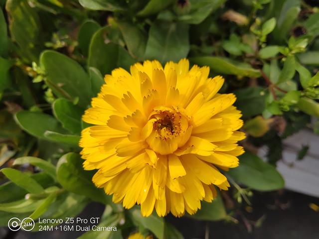 联想z5pro855版上手体验（时尚兼具实用的骁龙855手机）(25)