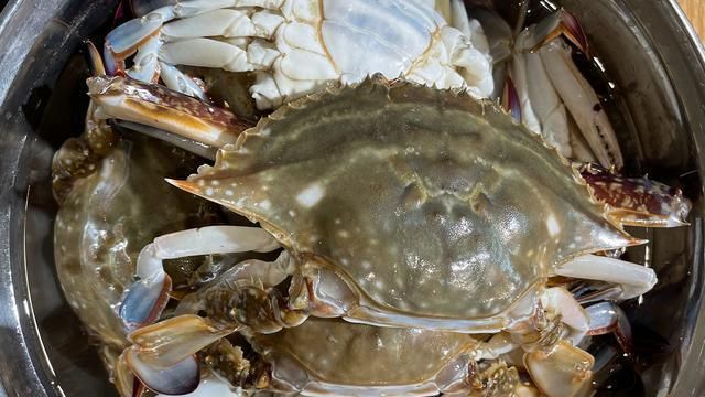 梭子蟹是发物吗