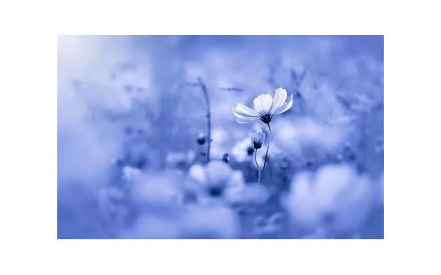  教师节送女班主任什么礼物比较好