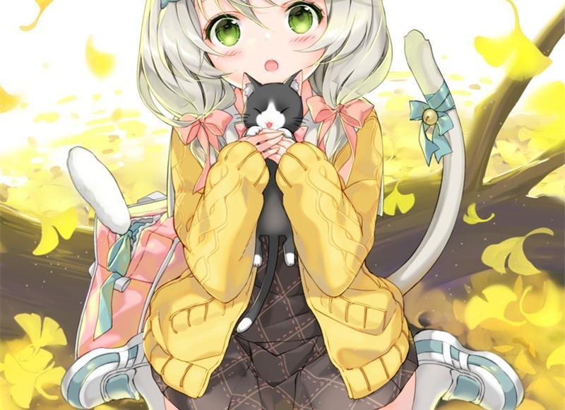 央视失误集锦B站下架了