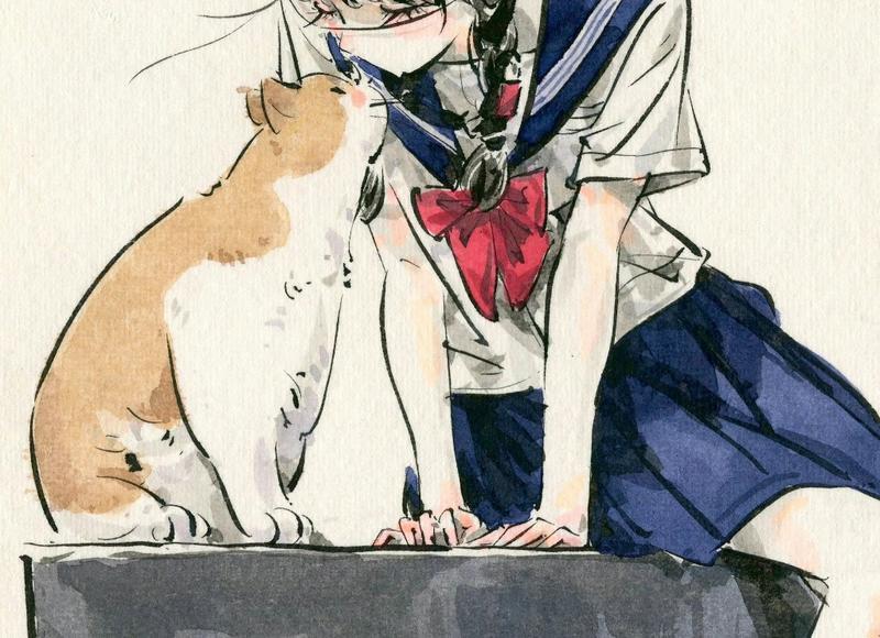  我们打过两次架，但都是我受伤，不想这样继续下去