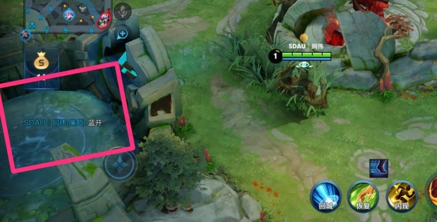 王者荣耀：专业术语“红开、蓝开”你知道他们的隐藏含义吗