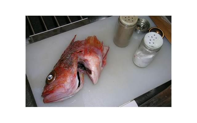 你能接受男朋友去摸摸唱了嘛?