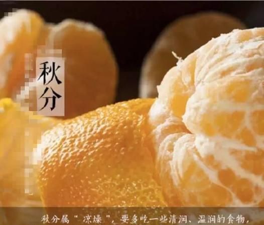 秋分节气饮食建议