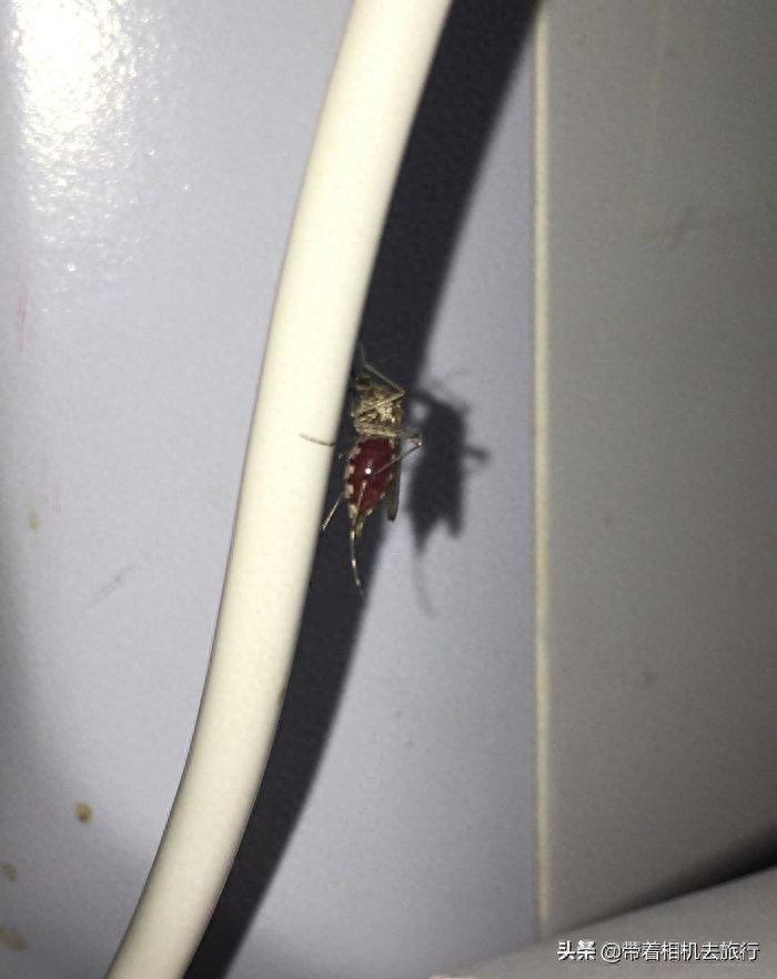 100万美元有多重?这些图片“真相了”