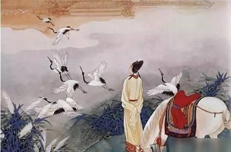 偶失龙头望茶是什么茶